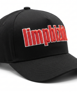 Gorra Limp Bizkit Logo Bordado 3D (Dos Estilos) - Imagen 6