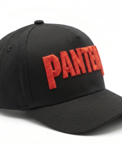 Gorra Pantera Logo Bordado 3D (Múltiples Estilos) - Imagen 9